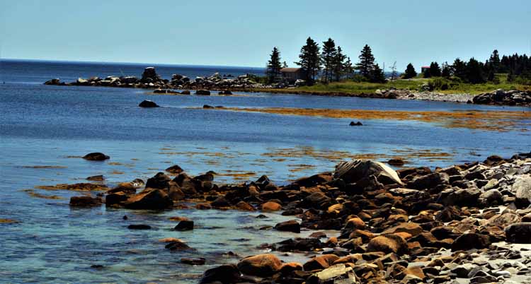 mill cove
